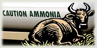Ammonia Beef